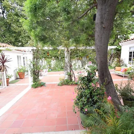 Beverly Hills Celebrity Home-3
